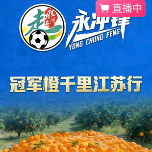 【湘超永州队推荐】湖南道州脐橙整箱10斤装永州道县特产超甜橙子