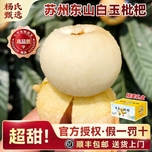 【炮头大果】苏州东山白