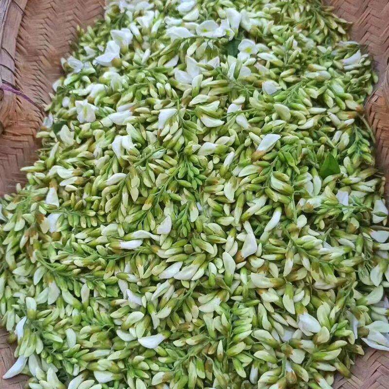 25年现货洋槐花现摘杨槐花野菜农家新鲜嫩刺槐花骨朵蒸菜商用包邮