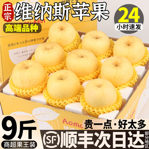 顺丰山东维纳斯黄金苹果