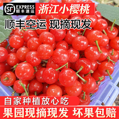 顺丰包邮浙江余姚梁弄发
