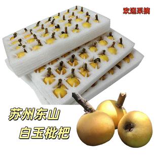 2026苏州东山白玉枇杷大果自然树熟琵琶水果超甜孕妇礼盒装