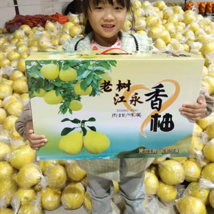 【豪华礼盒送礼佳品】湖南永州江永香柚大果6个装贡果纯甜无酸