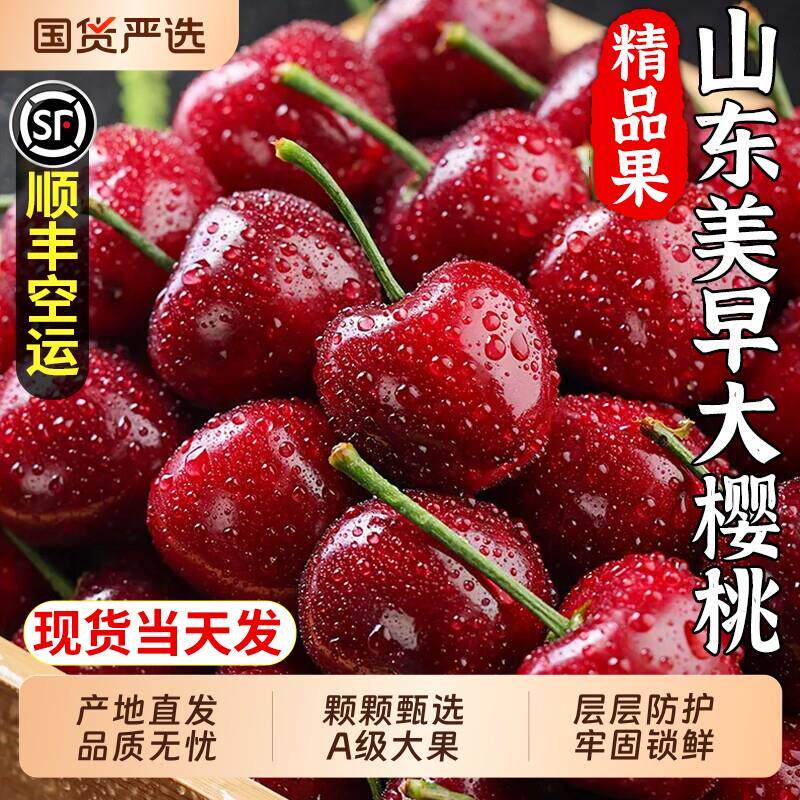 正宗山东美早大樱桃顺丰应当季现摘5J新鲜水果车厘子整箱精美礼盒
