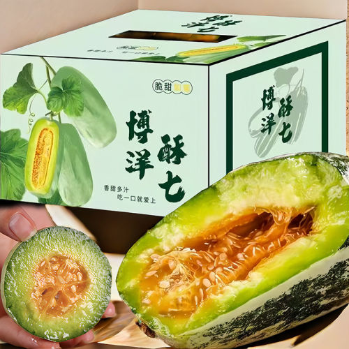山东博洋酥7甜瓜正宗72蜜