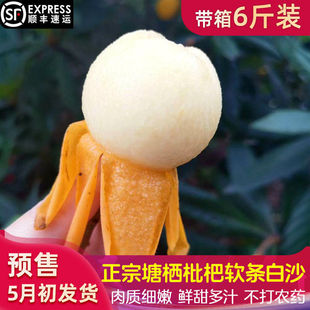 塘栖枇杷 正宗白沙塘西琵琶带箱5/6斤装白玉非东山甜新鲜水果顺丰