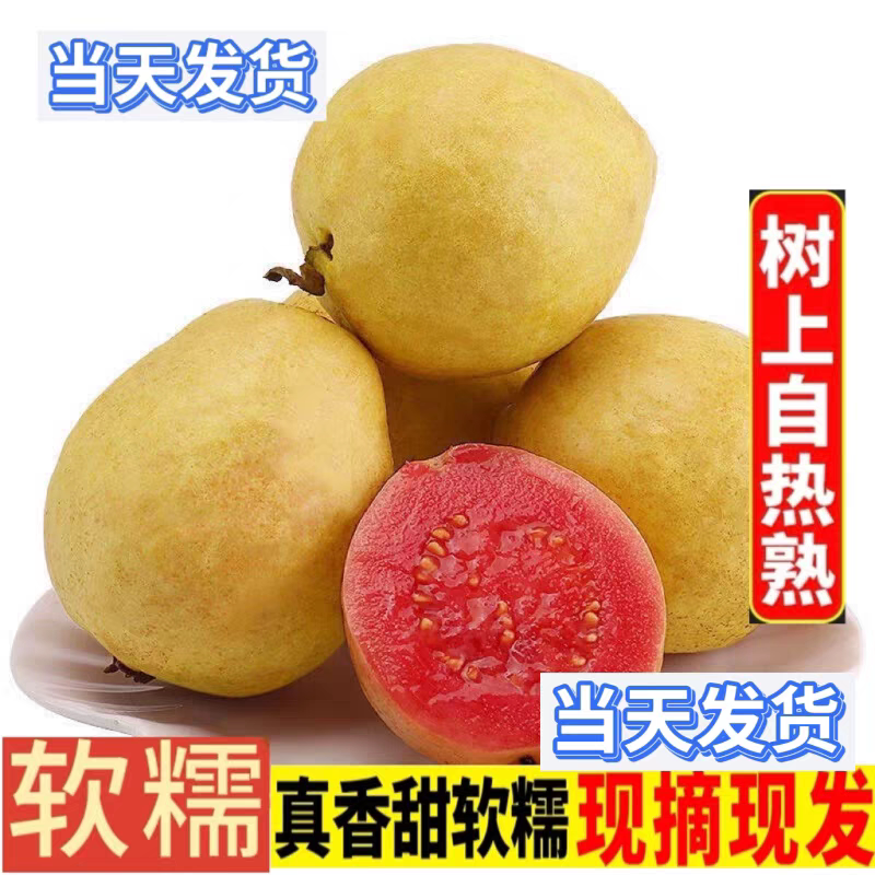 顺丰京东福建软糯红心芭乐5斤水果漳州番石榴奶油潘蕃新鲜巴乐果