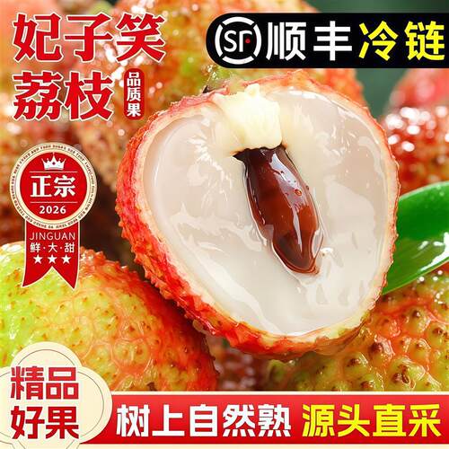 正宗2026年海南妃子笑荔枝新鲜现货小核肉厚大果坏果包赔多仓发货