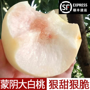 蒙阴大白桃山东新鲜桃子硬脆桃当季水果脆甜冬桃水蜜桃顺丰包邮5