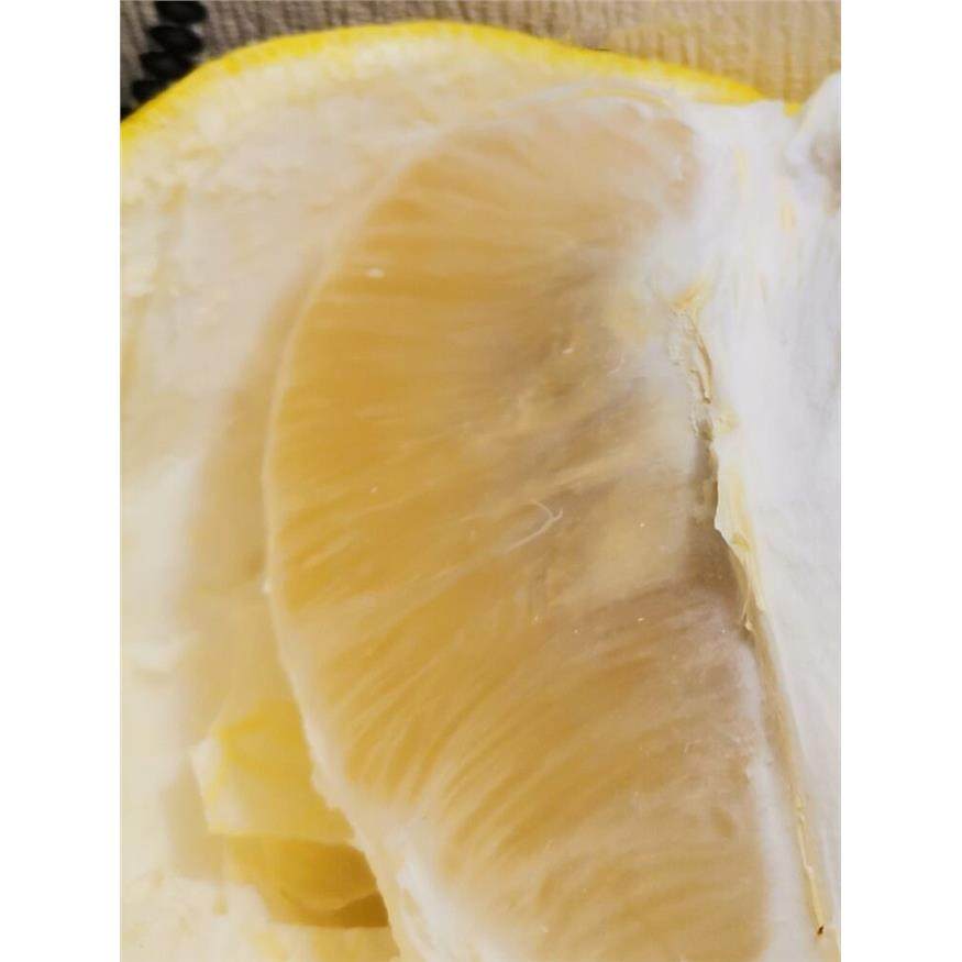 湖南江永香柚蜜柚子老树沙田柚20斤新鲜水果广西容县梅州白心柚子,包装,水果包装,淘宝优惠券,粉丝福利购,淘宝优惠卷