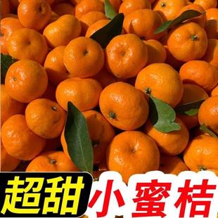 石门正宗南丰蜜桔水果橘子新鲜10斤当季蜜橘应季整箱时令桔子丑甜
