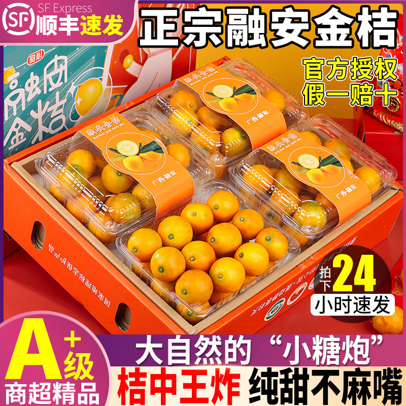 顺丰礼盒 5斤广西融安金桔鲜果当季新鲜水果脆蜜金柑一级整箱包邮