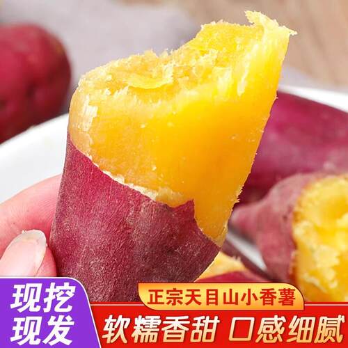 临安天目山小香薯当季农家自种地瓜正宗糖心板栗红薯蜜薯现挖整箱
