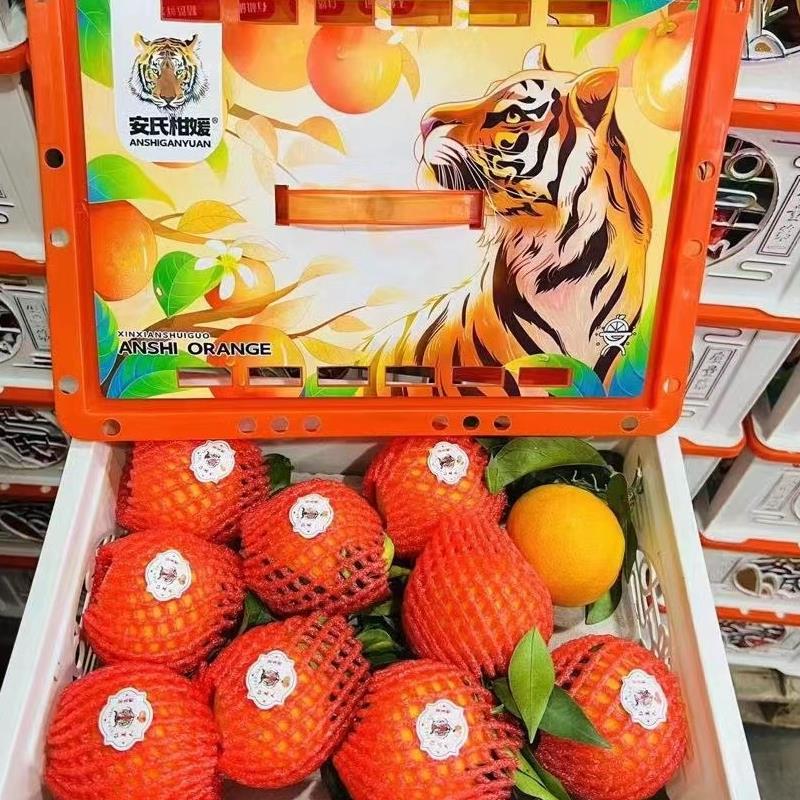 新鲜水果四川丹棱安氏爱媛38号果冻橙无核橙桔子5斤大果多地包邮