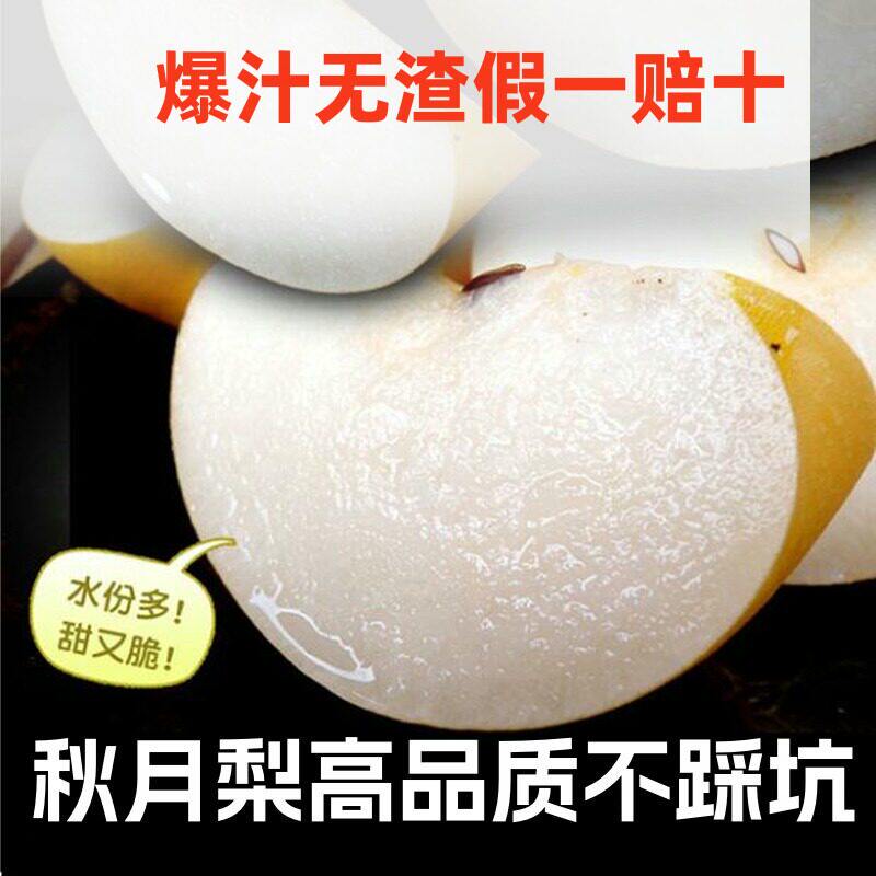 保真烟台正宗秋月梨新鲜水果梨子甜脆水分足冰糖秋月梨礼盒5斤10