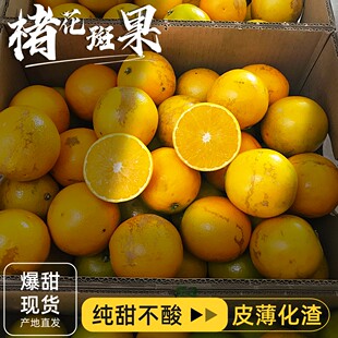 正宗云南花斑果玉溪哀牢山冰糖橙新鲜橙子手剥橙薄皮褚氏甜橙实建