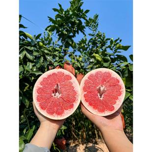 顺丰礼盒20斤福建平和三红柚柚子红肉红心柚蜜柚当季新鲜水果整箱