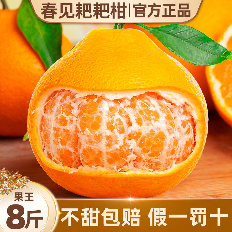 四川春见耙耙柑粑粑柑8斤橘子甜当季整箱新鲜水果丑柑桔包邮特级