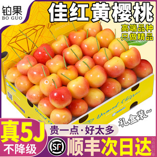 顺丰礼盒 3斤5J大连佳红黄樱桃新鲜水果金车厘子包邮高端当季孕妇