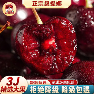 3j 智利进口车厘子桑提娜特大5斤4新鲜孕妇樱桃水果整桑缇娜礼盒