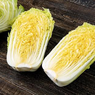 有机大白菜1000g山东胶东新鲜农家蔬菜帮薄叶大鲜嫩食品材