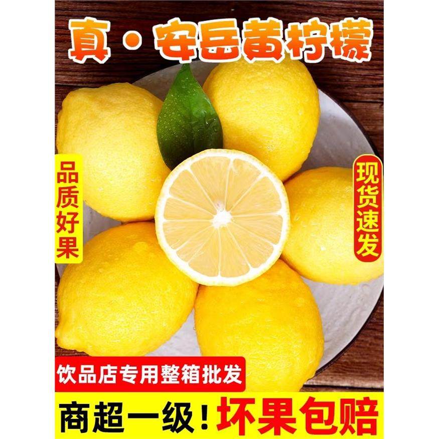 四川安岳黄柠檬酸爽多汁薄皮一二三级水果饮品店商用柠檬新鲜,包装,水果包装,淘宝优惠券,粉丝福利购,淘宝优惠卷