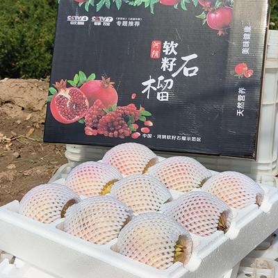 河南荥阳河阴突尼斯软籽子石榴新鲜水果包邮红甜一级特大果礼盒装