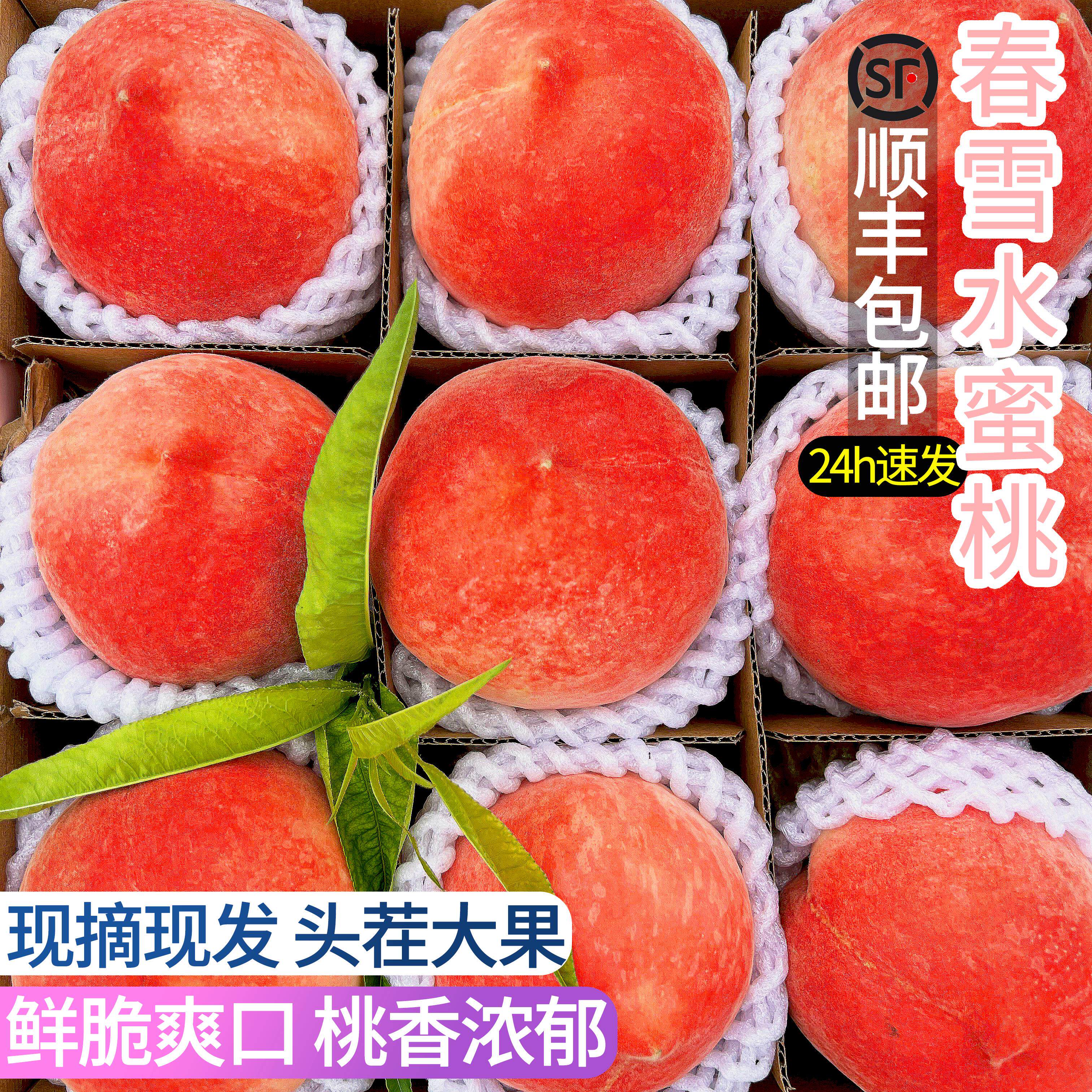 现货河北春雪水蜜桃5斤脆桃毛桃时令孕妇桃子水果新鲜当季整箱