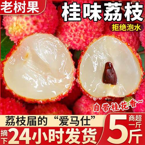 2026新鲜现摘现发孕妇水果荔枝广东特产应季老树桂味荔枝白糖糖罂