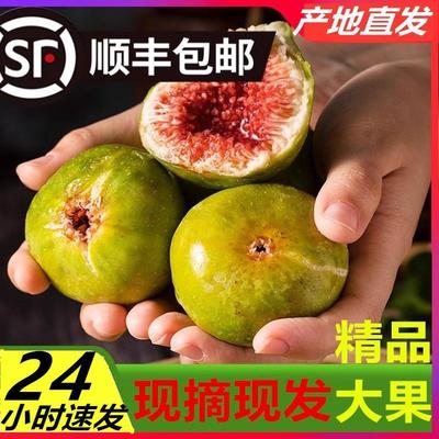 山东威海特产新鲜青皮无花果鲜果应季孕妇水果甜糯大果现摘顺丰5