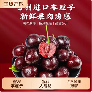 【多地次日达】智利进口车厘子4J原箱5斤新鲜水果JD/顺丰包邮