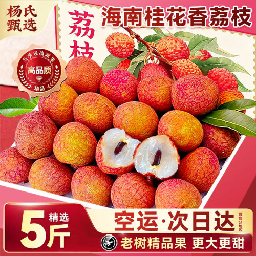 空运5斤桂花香荔枝新鲜现