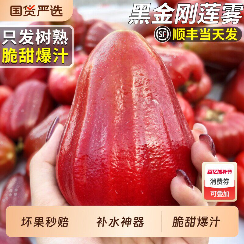 顺丰海南黑金刚莲雾当季新鲜水果正宗黑珍珠树上熟礼盒装整箱包邮