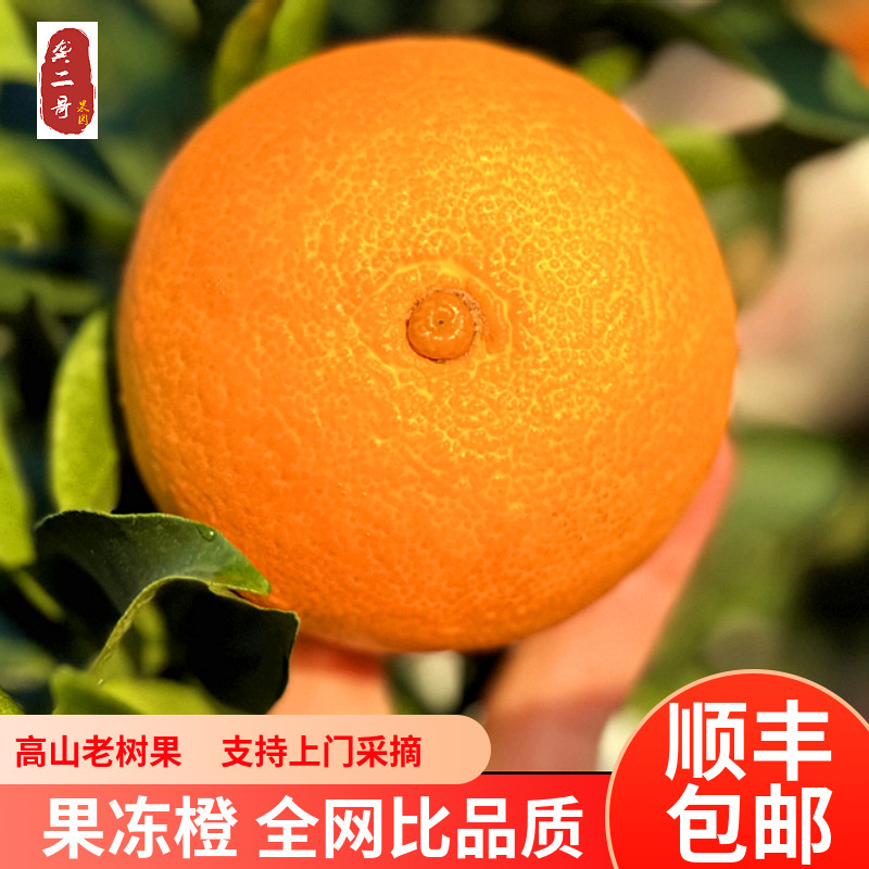 龚二哥四川爱媛果冻橙38号果园现摘发橙子大果新鲜顺丰