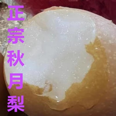 现货山东正宗秋月梨新鲜水果甜脆爆汁甘甜无渣顺丰包邮非莱阳梨