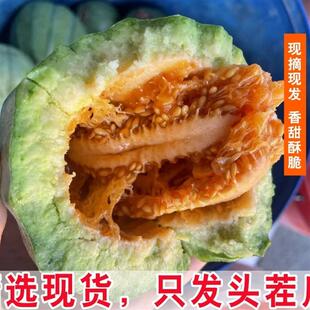 山西忻州特产忻州芝麻密灯笼红香瓜甜瓜芝麻瓜产地直发5斤包邮