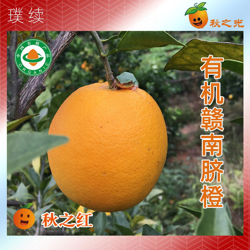 江西省赣州秋之红有机脐橙秋之光种植应季现新鲜水果9.2斤装