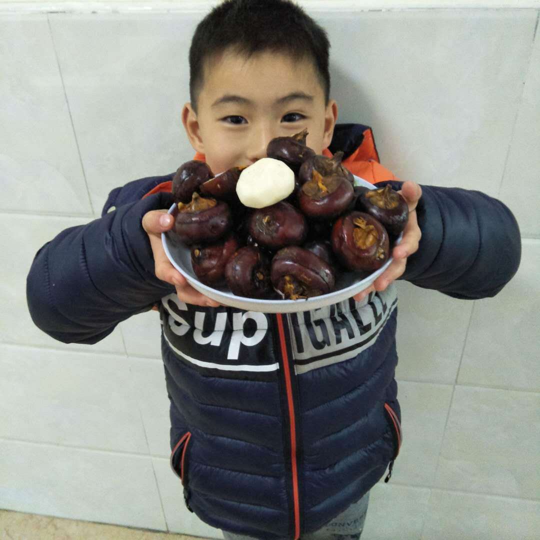 10斤大果乐昌北乡廊田马蹄荸荠现挖产地特产食用新鲜蔬菜水果推荐