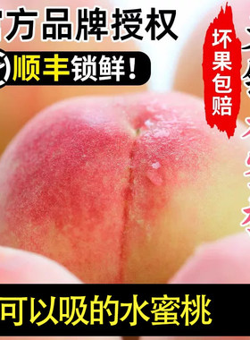 正宗无锡水蜜桃新鲜水果整箱应当季湖景白凤软桃子礼盒顺丰包邮