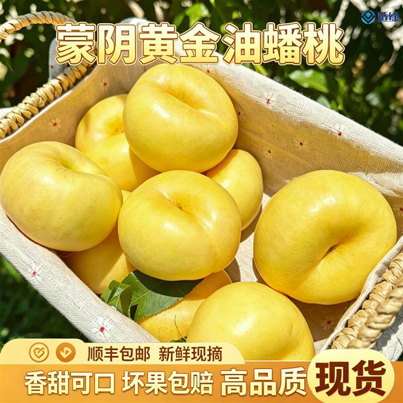 正宗山东蒙阴黄金油蟠桃新鲜扁桃现摘彩虹油蟠当季水果蜜桃桃子