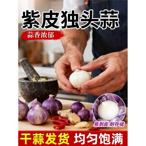 2026年农家紫皮独头蒜红