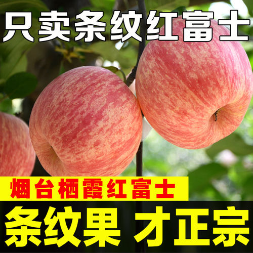 烟台红富士苹果水果新鲜