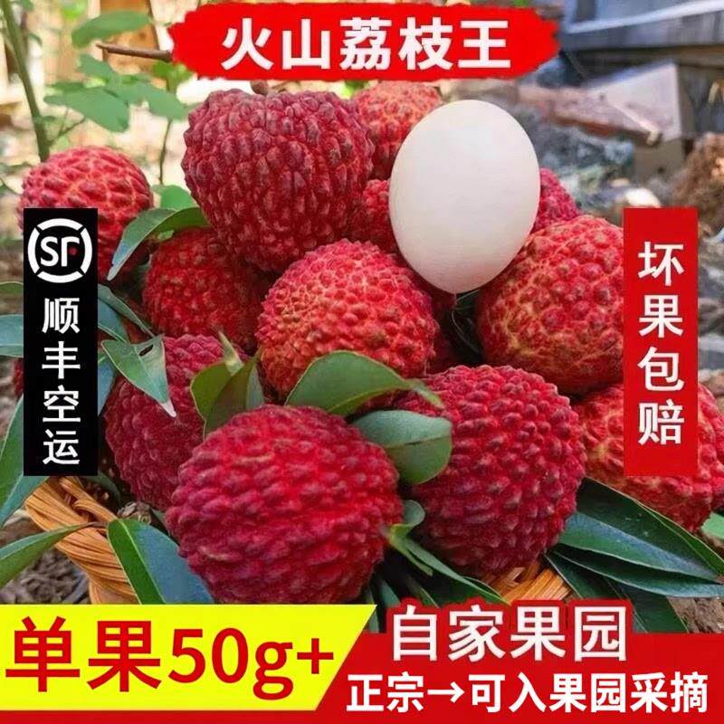 海南火山荔枝王新鲜荔枝当季孕妇水果大荔枝整箱包邮顺丰空运