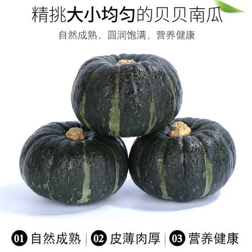 山东新鲜贝贝南瓜宝宝辅食5斤包邮现摘现发粉贝贝粉糯新鲜蔬菜