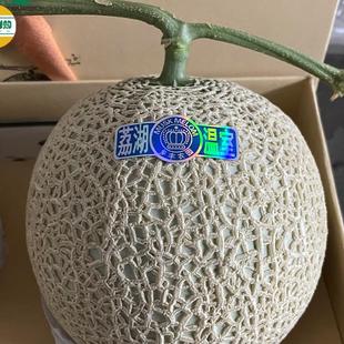 网纹蜜瓜礼盒装日本静冈品种梅陇啫喱哈密瓜牛3蜜瓜超甜顺丰包邮