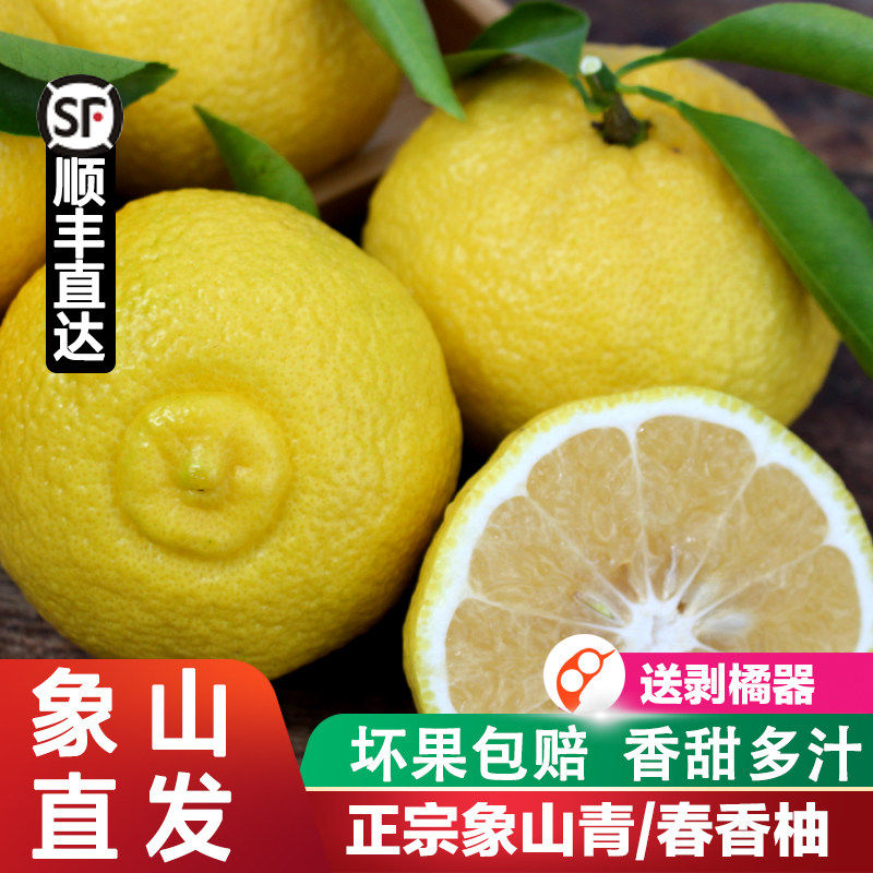 【顺丰直达】正宗宁波象山青柑橘子春香柚新鲜金柚黄金贡柚甜桔柚