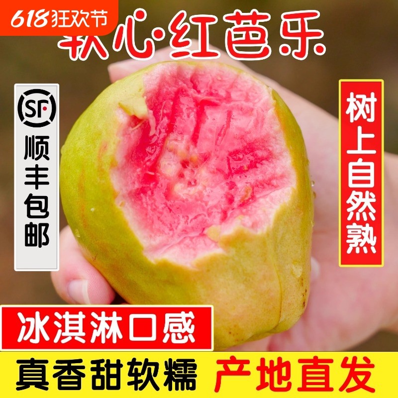 红心芭乐番石榴奶油软心5斤福建孕妇水果白新鲜顺丰包邮软糯