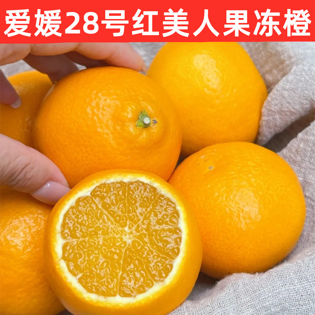 四川红美人柑橘桔子正宗爱媛28号果冻橙新鲜水果5斤礼盒装