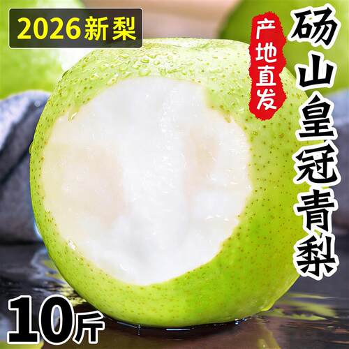 正宗安徽砀山青梨脆甜当季新鲜水果皇冠梨翠冠梨酥蜜整箱10斤梨子