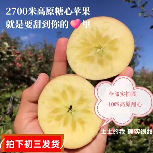 云南宁蒗冰糖心丑苹果2700米高原新鲜多汁果香浓郁10斤特大果礼盒
